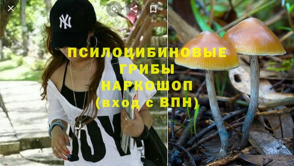 сатива Алексин