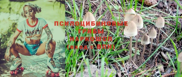 сатива Алексин