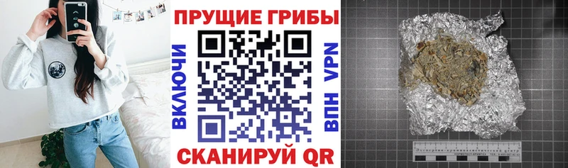 даркнет сайт  Железногорск-Илимский  Галлюциногенные грибы мицелий 